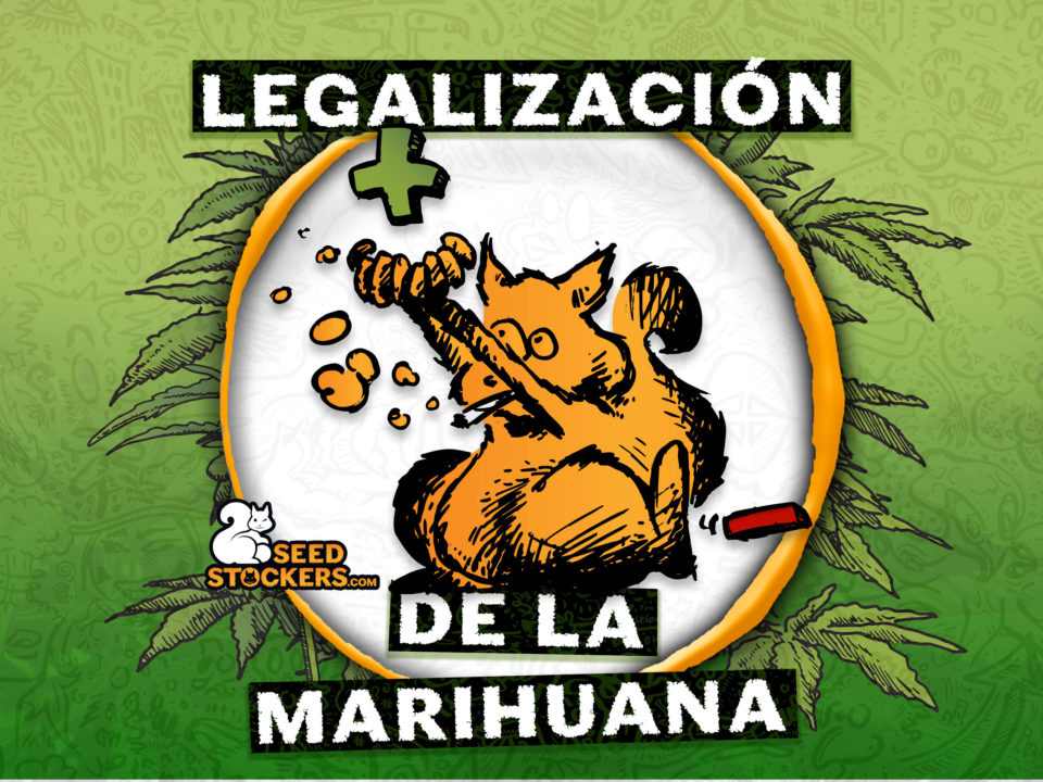 legalización de la marihuana