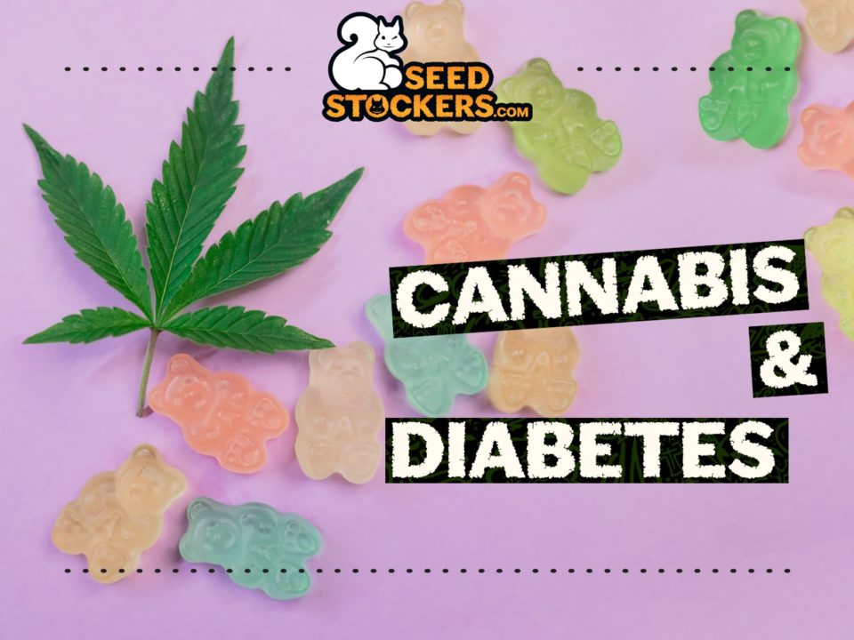 cannabis y diabetes