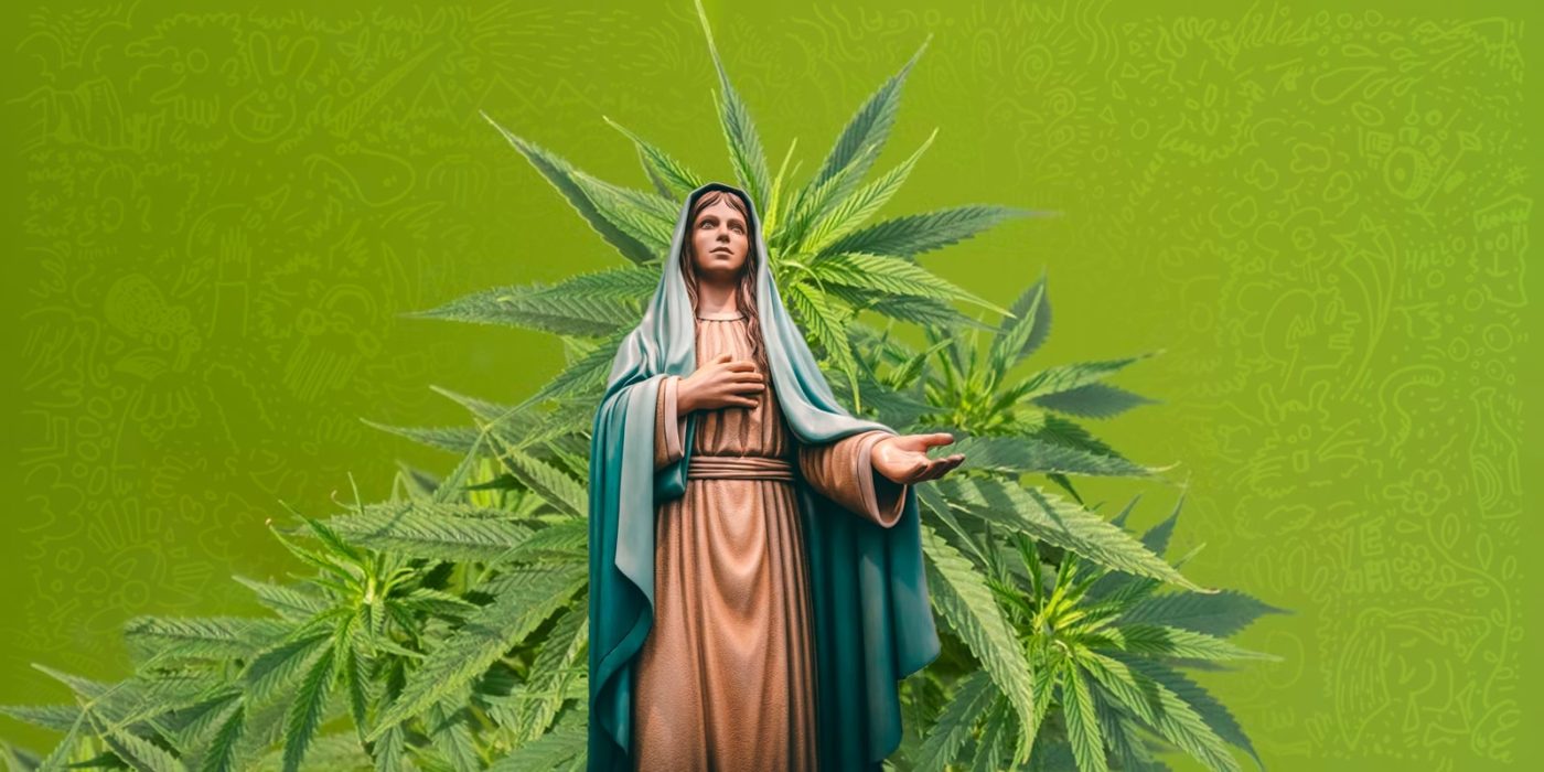 planta-madre-cannabis