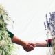 Cannabis plantas de acompañamiento benificios, Weedstockers