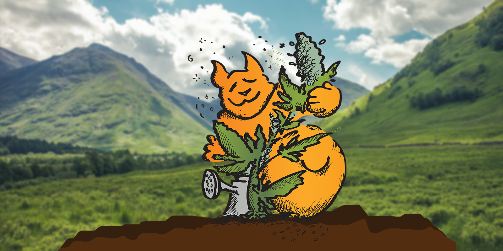 Cómo regar las plantas de cannabis, Weedstockers