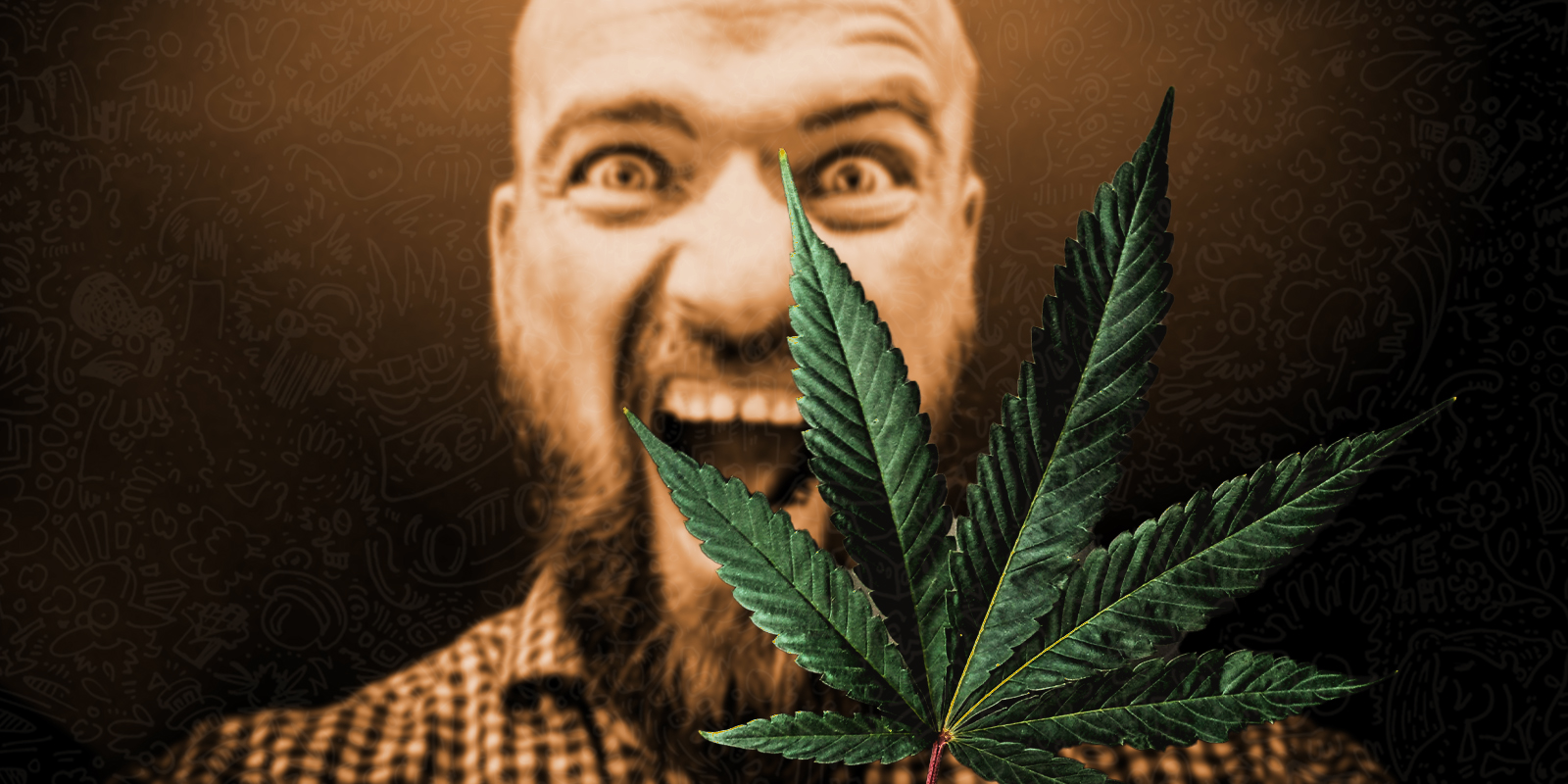 Exceso de nutrientes en el cannabis, Weedstockers